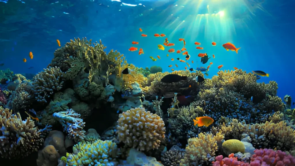 A vibrant coral reef underwater, full of diverse tropical fish swimming in bright blue water with sunbeams streaming down. Sharks Evolution.