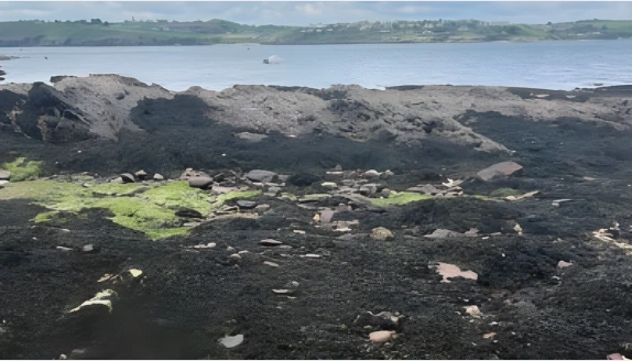 Coastal photo of a rocky shoreline covered in dark seaweed and algae at low tide, with the ocean in the background.