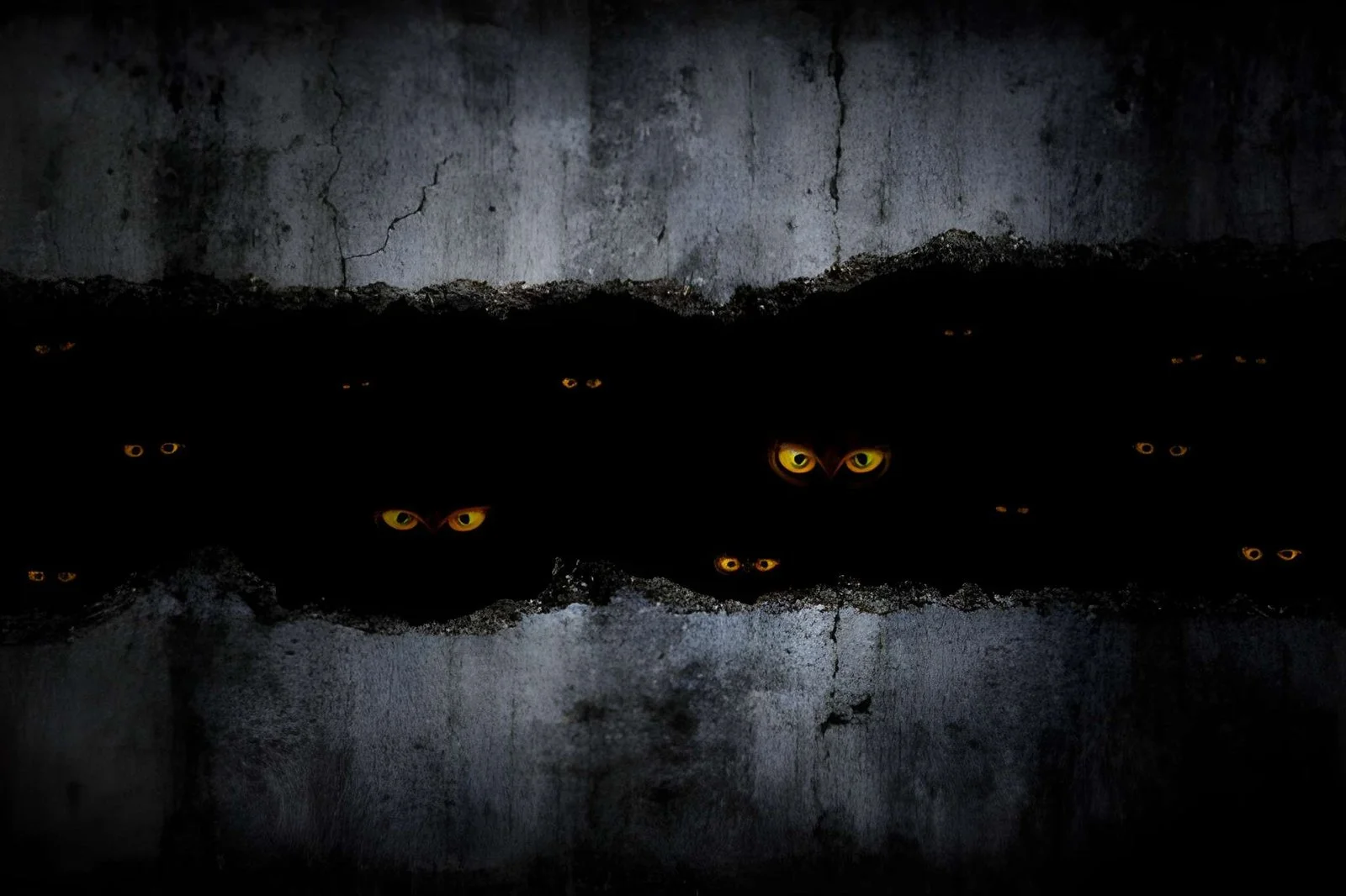 Multiple pairs of glowing yellow eyes hidden in a dark crevice illustrating animals' eyes glow phenomenon.